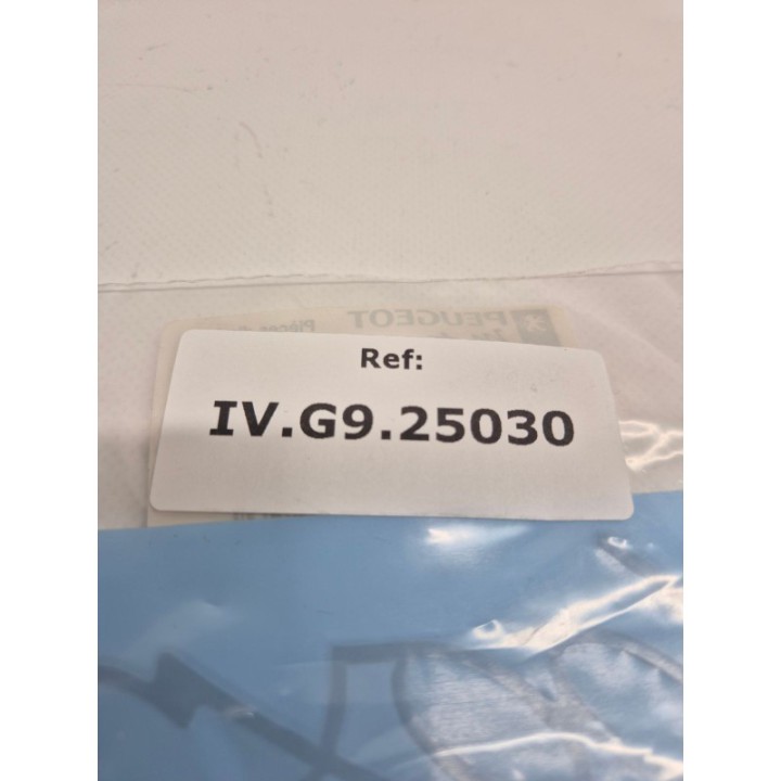 Peugeot Looxor TSDI 50 (02) EMBLEMAT NA RAMKĘ